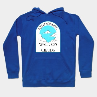 Reflexologists Walk on Clouds Hoodie